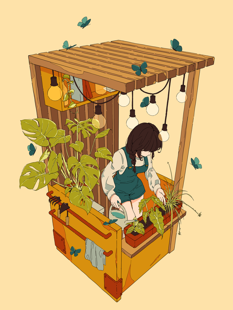 Monstera Chisoriya monstera-chisoriya
